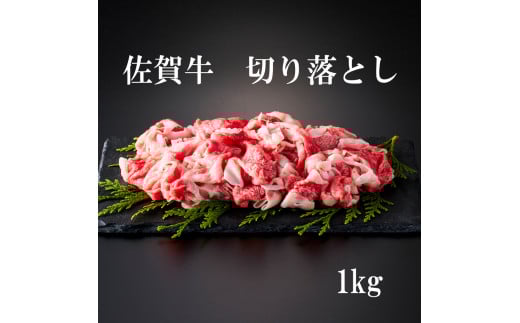 佐賀牛 切り落とし 1kg（ 500g × 2パック） 161-J880