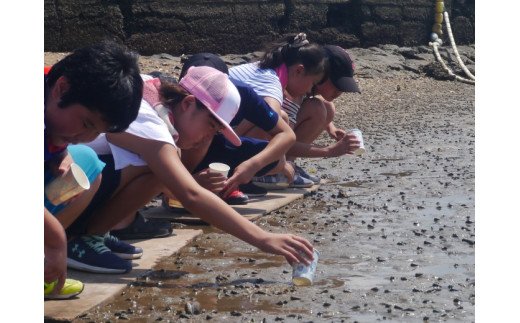 牧島地区まちづくり運営協議会の活動を応援！【思いやり型返礼品（協賛型）】 109-O013