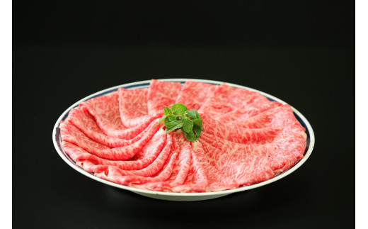 佐賀牛ボリュームセット 6回便 6.9kg ヒレ 赤身 モモスライス サーロイン ハンバーグ 999-J668