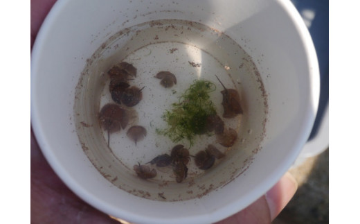 迚ァ蟲カ蝨ー蛹コ縺セ縺。縺・縺上j驕句霧蜊碑ュー莨壹ョ豢サ蜍輔r蠢懈抄シ√先昴>繧繧雁梛霑皮、シ蜩シ亥鵠雉帛梛シ峨 109-O014