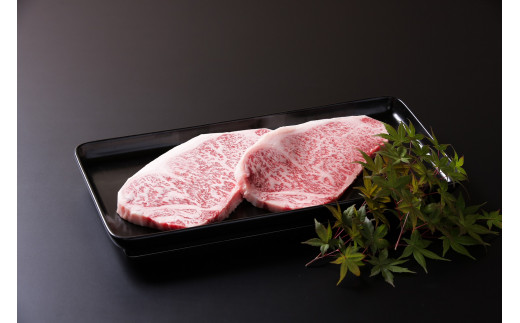 佐賀牛ボリュームセット 6回便 6.9kg ヒレ 赤身 モモスライス サーロイン ハンバーグ 999-J668