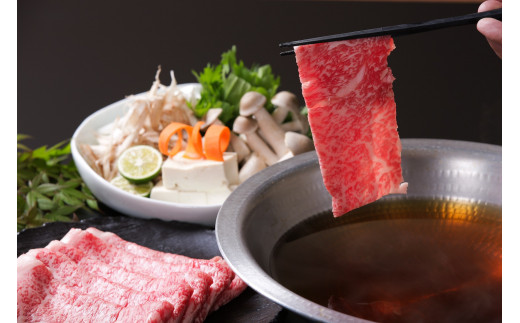 佐賀牛ボリュームセット 6回便 6.9kg ヒレ 赤身 モモスライス サーロイン ハンバーグ 999-J668