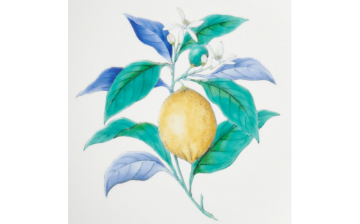 【伊万里焼】プレート 平皿 Lemon φ29cm Plate 028-H832