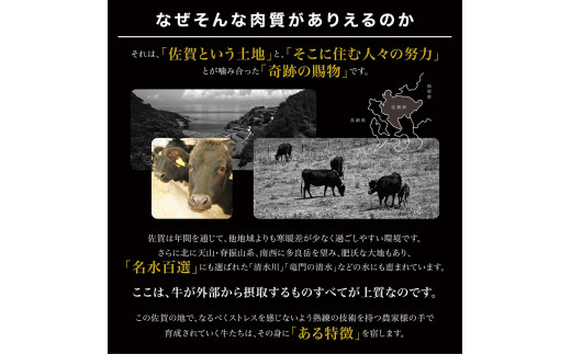 佐賀牛 切り落とし 1kg（ 500g × 2パック） 161-J880