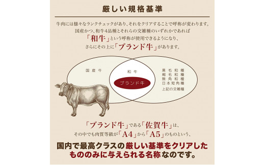 佐賀牛 切り落とし 1kg（ 500g × 2パック） 161-J880