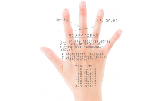 伊万里焼強化磁器指輪（白金彩貫入市松白色）【要選択】 029-H771