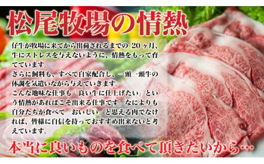 伊万里牛 ぎゅ～と 定期便 スペシャル 3回便 すき焼き ステーキ 焼肉 J319