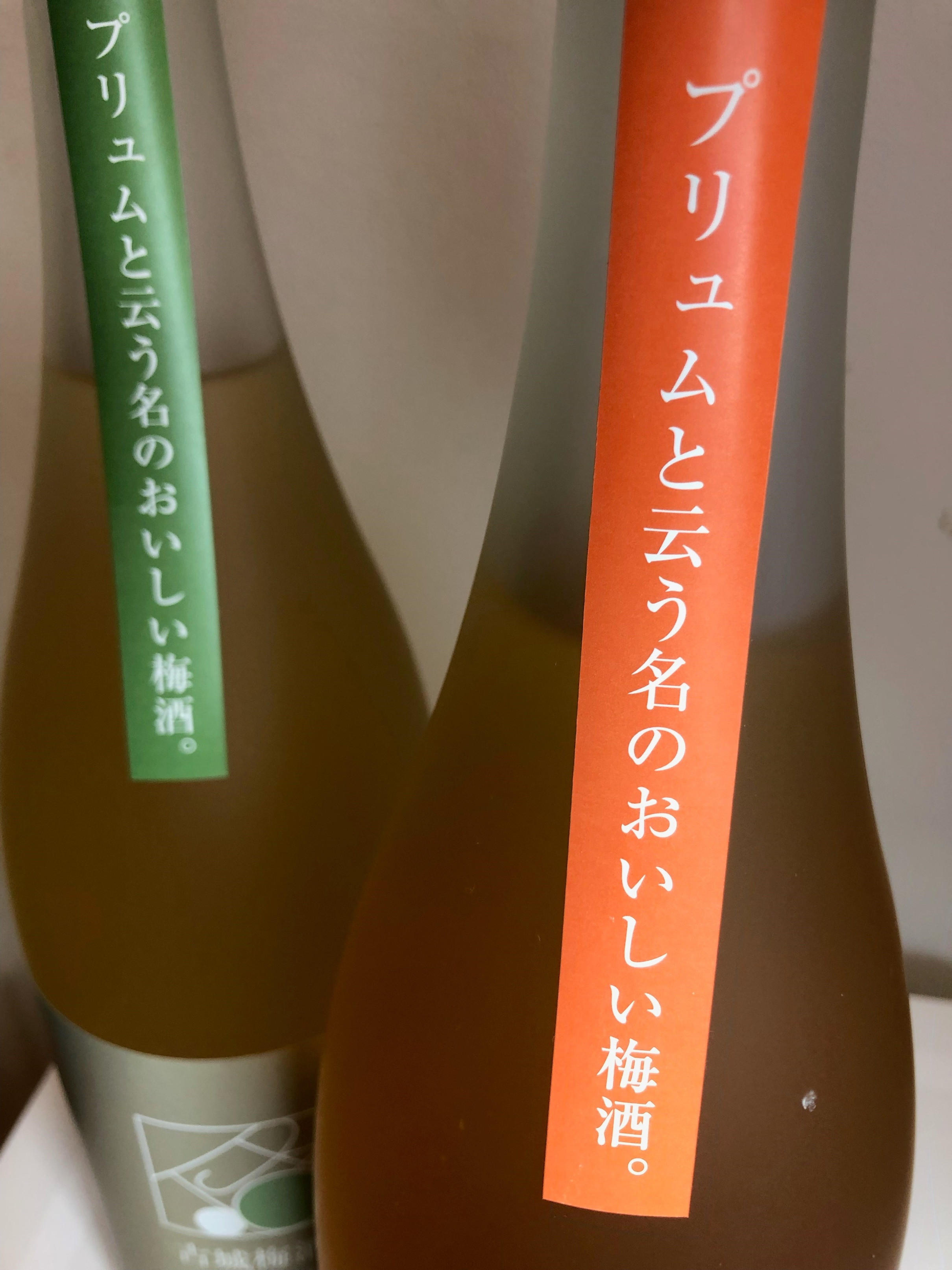 松浦一 プリュム 南高梅酒 古城梅酒 四合瓶2本セット D273