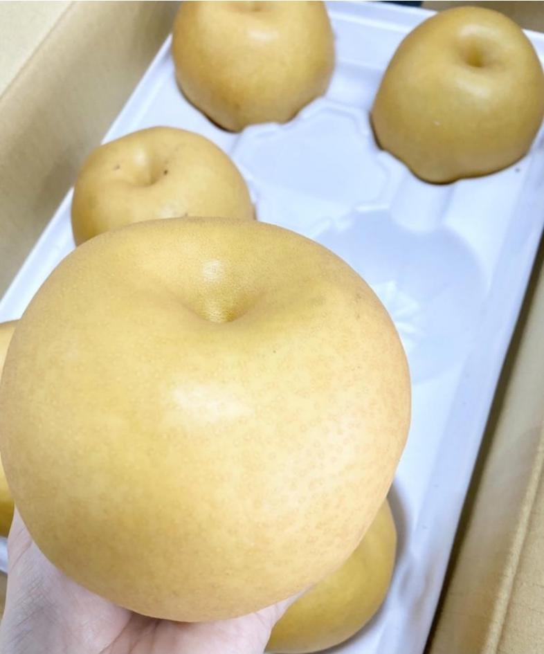ã æ°ééå® ã äŒäžé梚 æ°é« 2.5kg 113-B1076