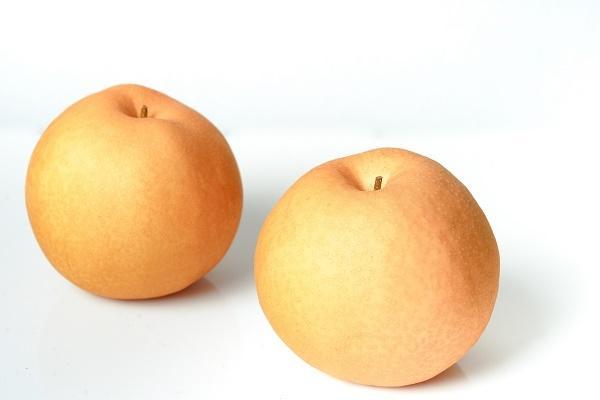 ã æ°ééå® ã äŒäžé梚 æ°é« 2.5kg 113-B1076