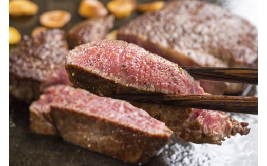 伊万里焼皿付き 伊万里牛 美味 定期便 【5回便】ステーキ すき焼き 焼肉 999-J617