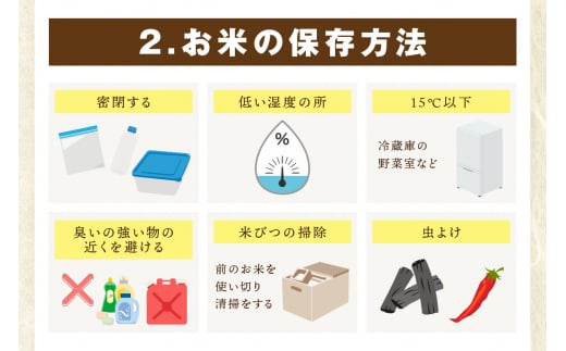 【11月から順次発送】 令和6年産 《マイスターセレクト》 さがびより【玄米】 5kg 【特A評価】 B687