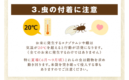 【11月から順次発送】 令和6年産 《マイスターセレクト》 さがびより【玄米】 5kg 【特A評価】 B687