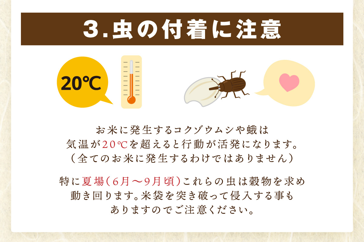 【10月下旬から順次発送】 令和6年産 【定期便】《無洗米》 ひのひかり ５kg×３回　B691