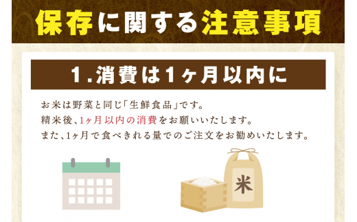 【10月下旬から順次発送】 令和6年産 【定期便】《無洗米》 ひのひかり ５kg×１２回　B695