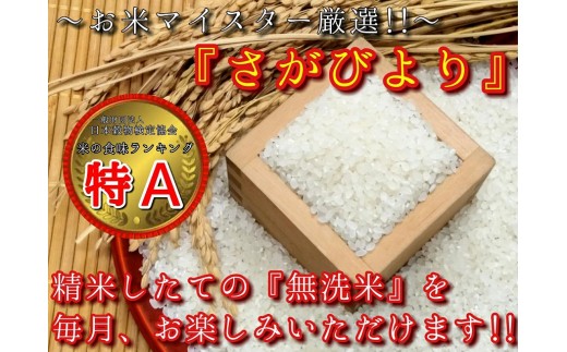 【定期便】無洗米『さがびより』２kg×３袋　毎月×１０回 B542