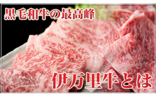 伊万里牛 ぎゅ～と 定期便 スペシャル 3回便 すき焼き ステーキ 焼肉 J319