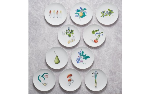 【伊万里焼】プレート 平皿 Chicory φ29cm Plate H830