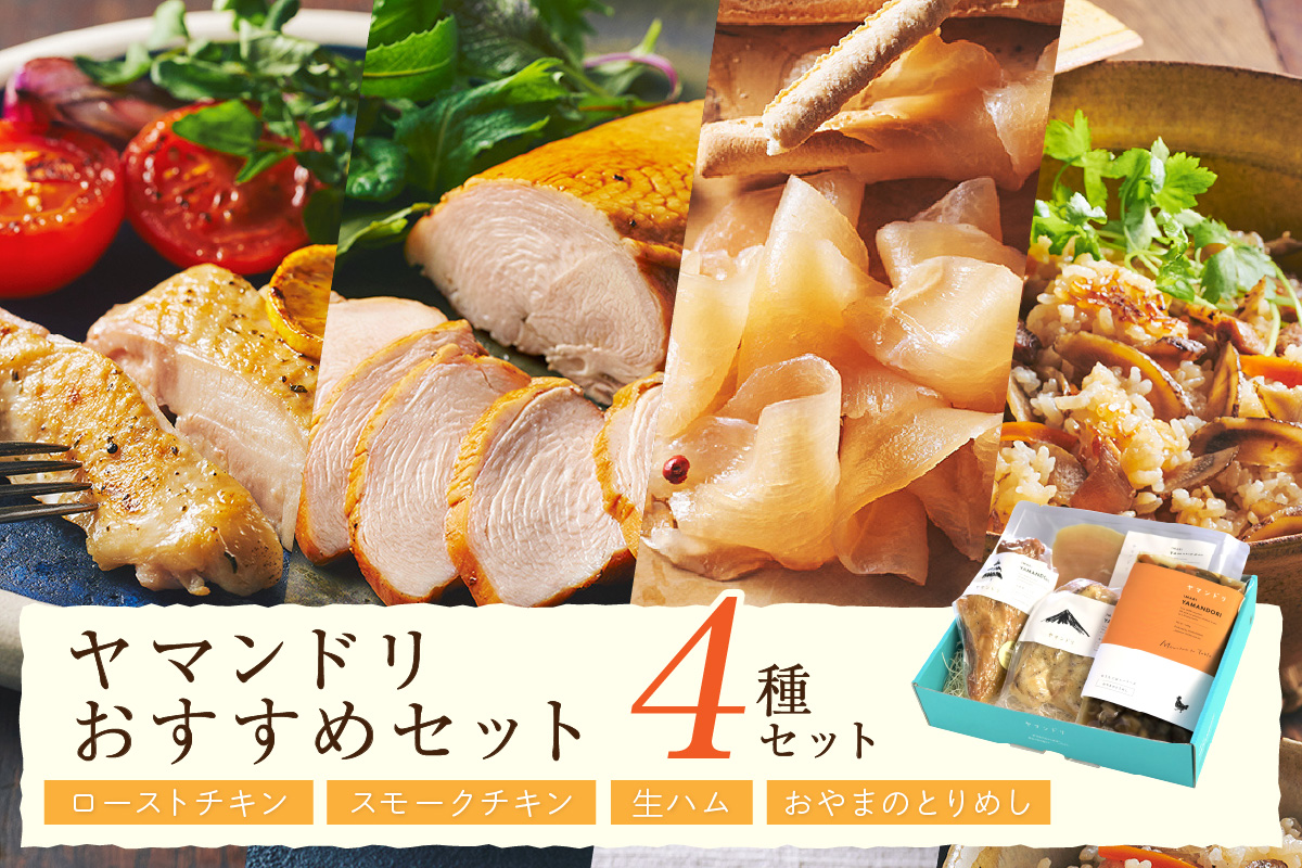 伊万里ヤマンドリ おすすめセット 016-G275