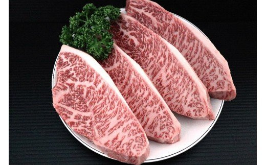 伊万里牛食べつくし 定期便 6回便 モモスライス入り ヒレステーキ 30万円コース J253