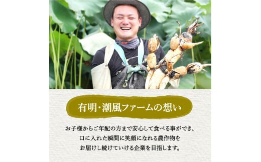 佐賀牛入り 特製 ハンバーグ 約120g×20個 180-J1349