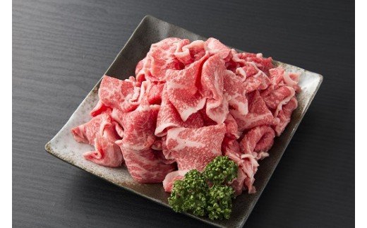 伊万里牛 食べつくし 定期便 6回便 モモスライス入り ヒレステーキ 100万円コース 999-J254