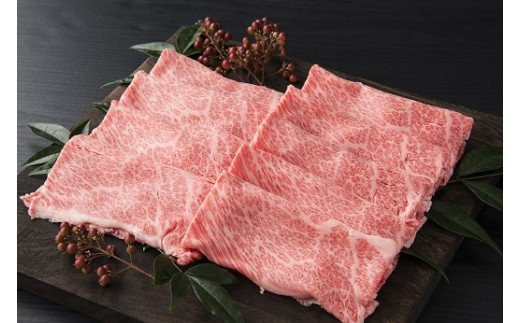 伊万里牛 食べつくし 定期便 6回便 モモスライス入り ヒレステーキ 100万円コース 999-J254