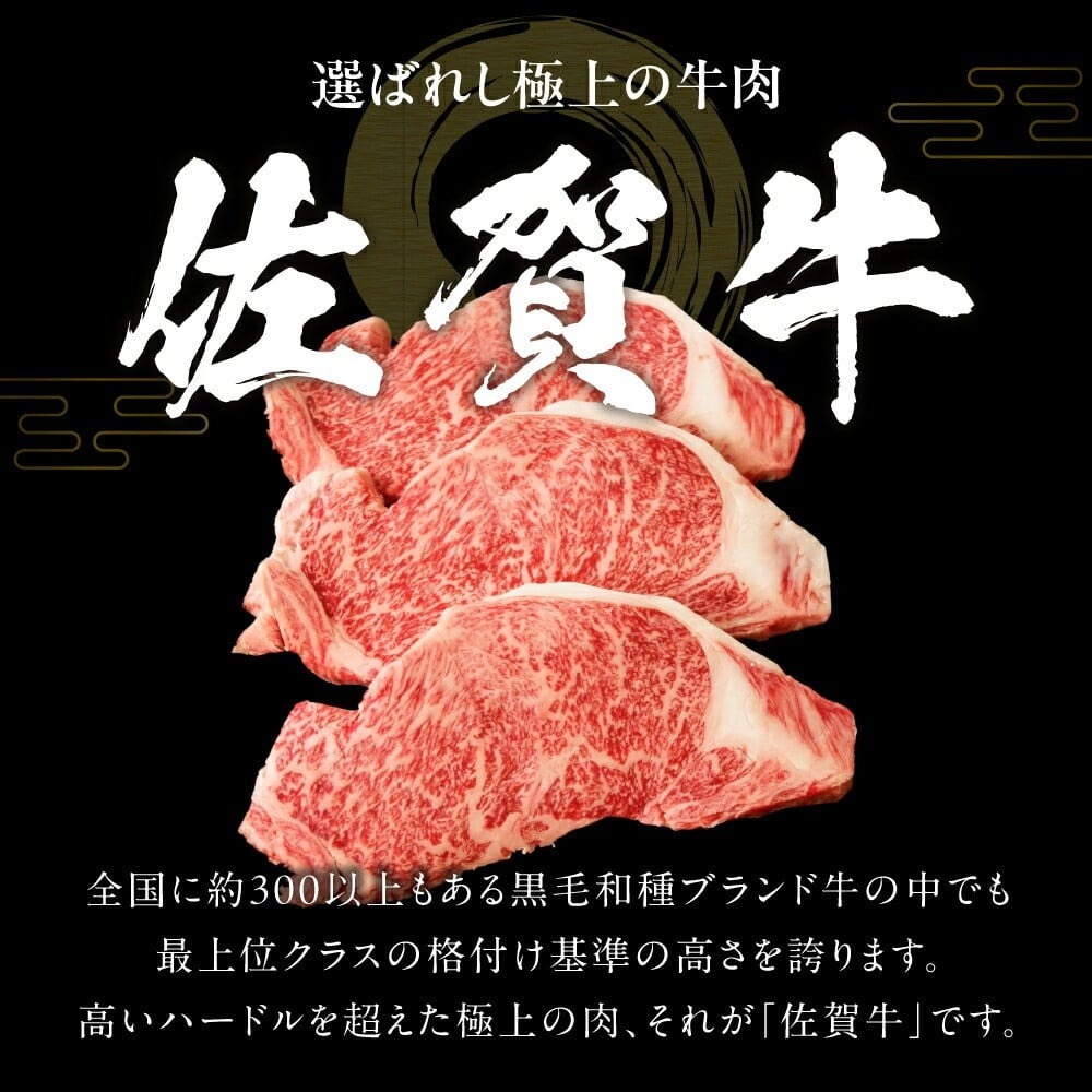 117-J2107 佐賀牛 肩ロース 焼肉 500g