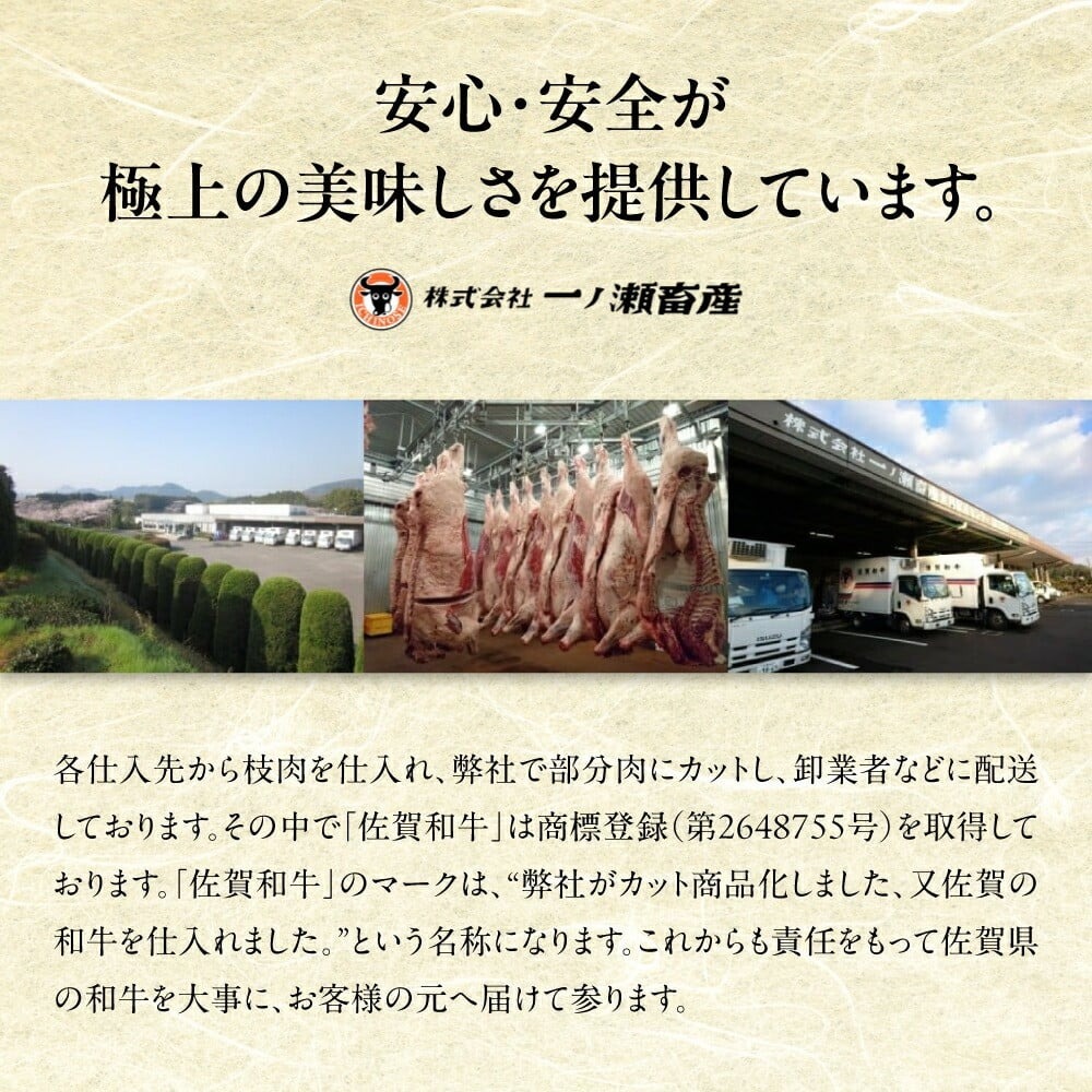 117-J2107 佐賀牛 肩ロース 焼肉 500g