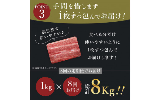 【全8回定期便】佐賀牛モモしゃぶしゃぶ　総計8kg J411