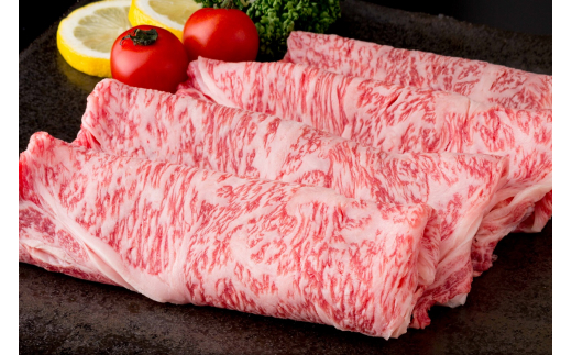 【全12回】毎月お届け 佐賀牛 定期便 総計15.5kg 999-J475