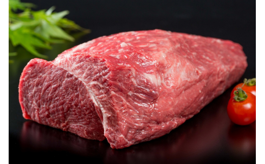 【全12回】毎月お届け 佐賀牛 定期便 総計15.5kg 999-J475