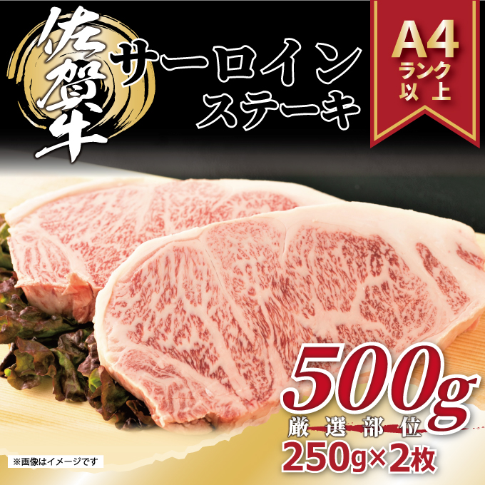 【 佐賀牛 】 艶さし！ サーロイン ステーキ セット　500ｇ（250ｇ×2枚） J1054