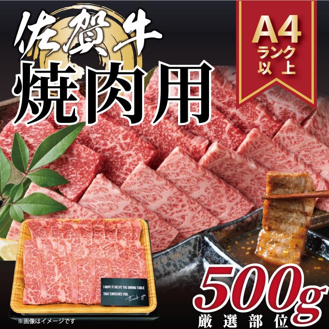 【 佐賀牛 】 艶さし！ 焼肉用　500ｇ J1038