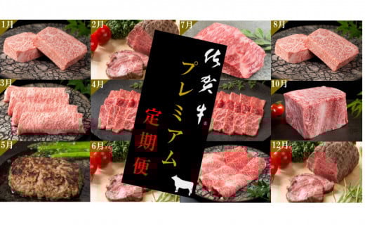 佐賀牛毎月プレミアム定期便12回ｺｰｽ 999-J905