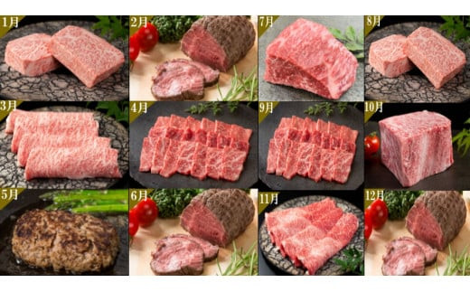 佐賀牛毎月プレミアム定期便12回ｺｰｽ 999-J905