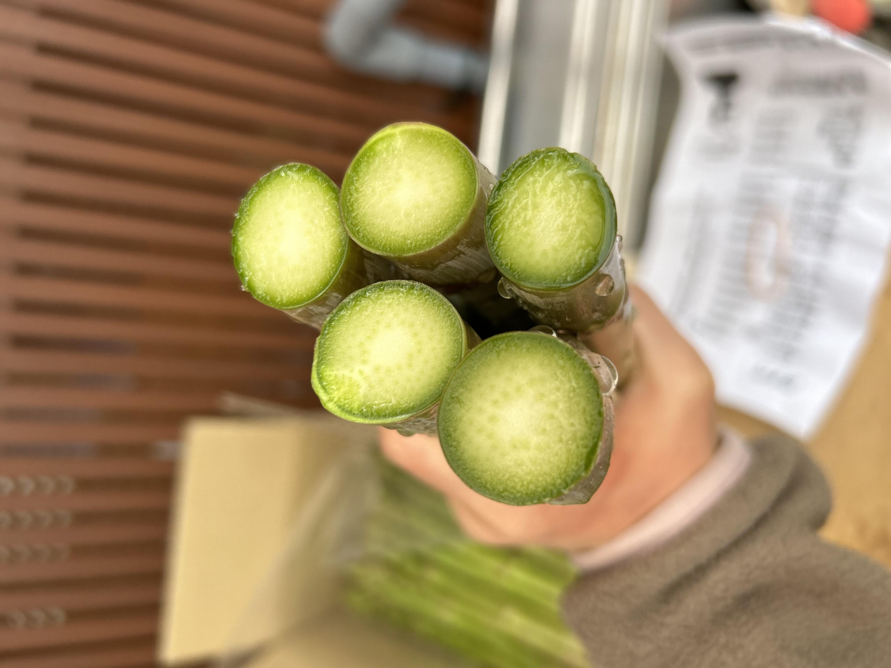 【3月～8月配送】 野菜ソムリエサミット 2024年3月度『金賞』受賞 《梅村農園のアスパラガス》 1kg 174-B538