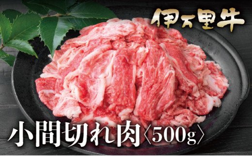 伊万里牛 A5 小間切れ 500g 015-J622
