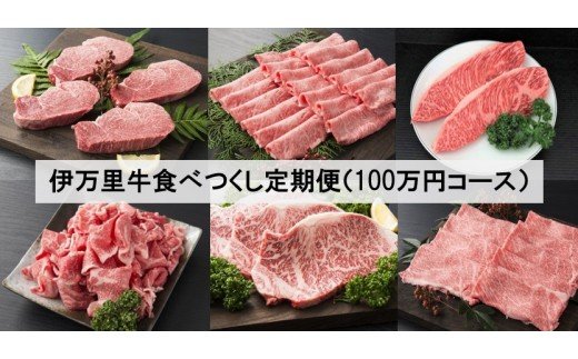 伊万里牛 食べつくし 定期便  6回便 モモスライス入り ヒレステーキ 100万円コース J254