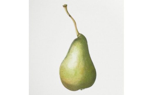 ãäŒäžéçŒããã¬ãŒã å¹³ç¿ Pear Ï29cm Plate 028-H831