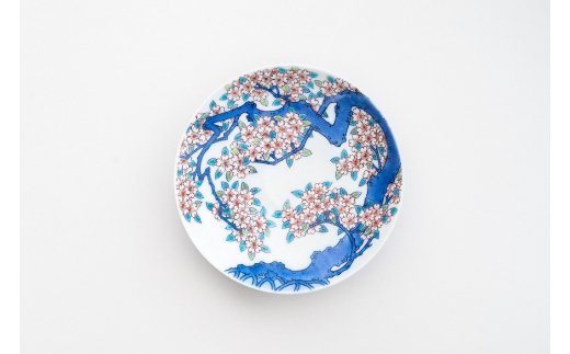【伊万里焼】色鍋島桜樹文5寸高台皿 023-H1282