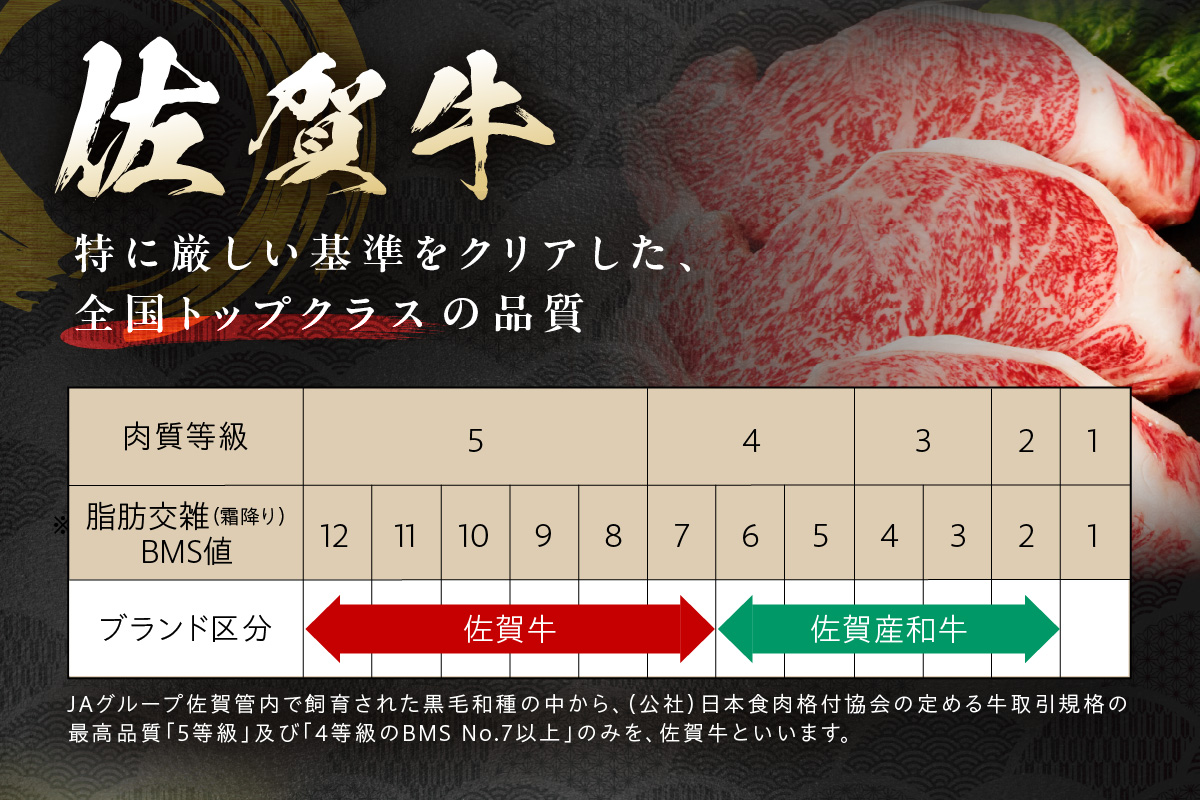 äœè³çè©ã¢ã¢ã¹ã©ã€ã¹500ïœ 192-J1549