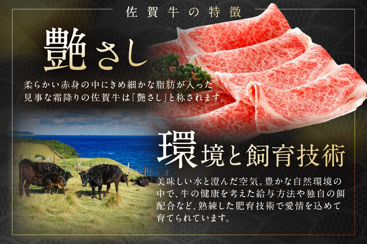 äœè³çè©ã¢ã¢ã¹ã©ã€ã¹500ïœ 192-J1549