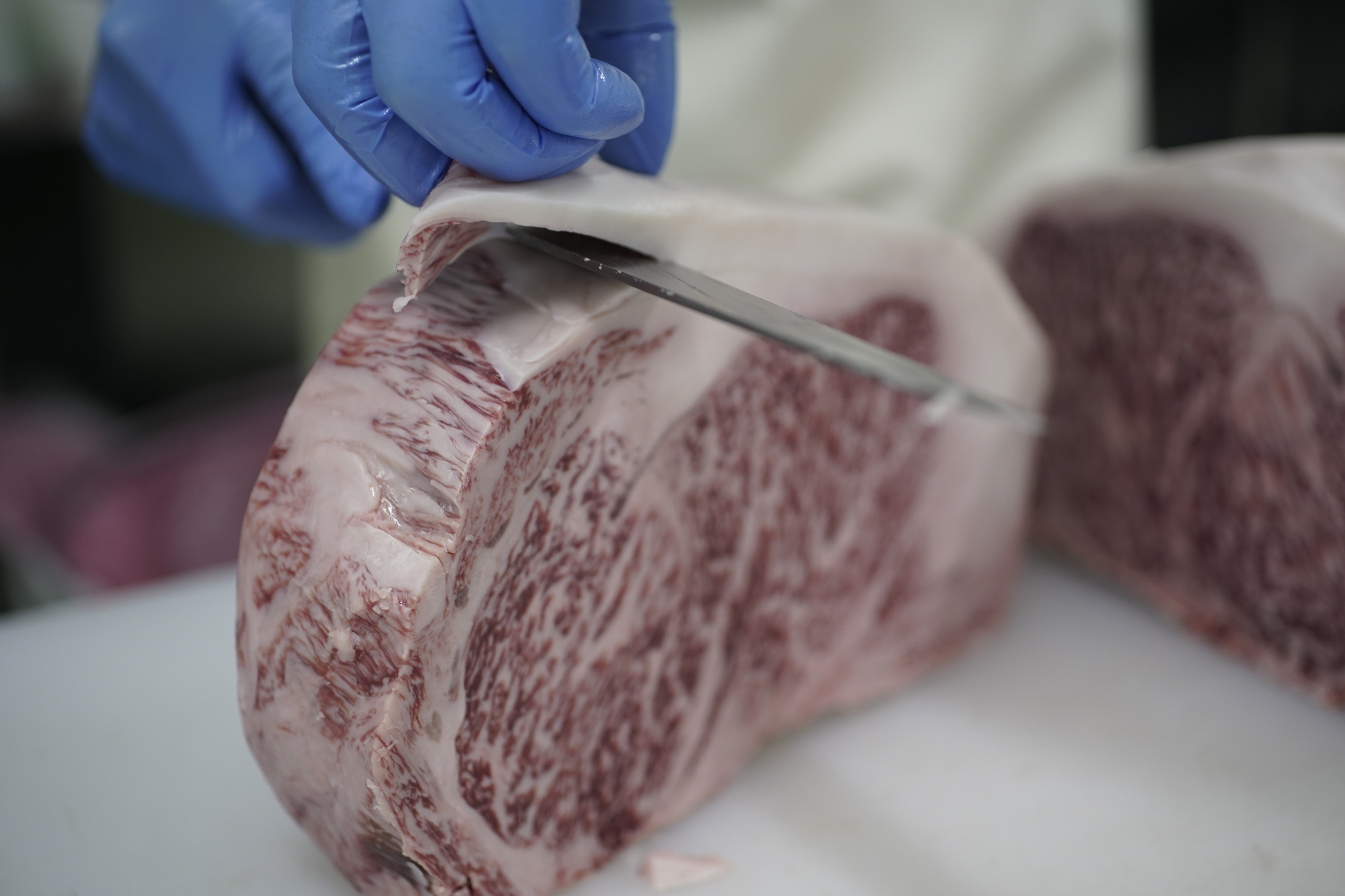 äŒäžéçããŒã¹ã¹ã©ã€ã¹ããçŒãã»ããã¶ããã¶çš 193-J1895