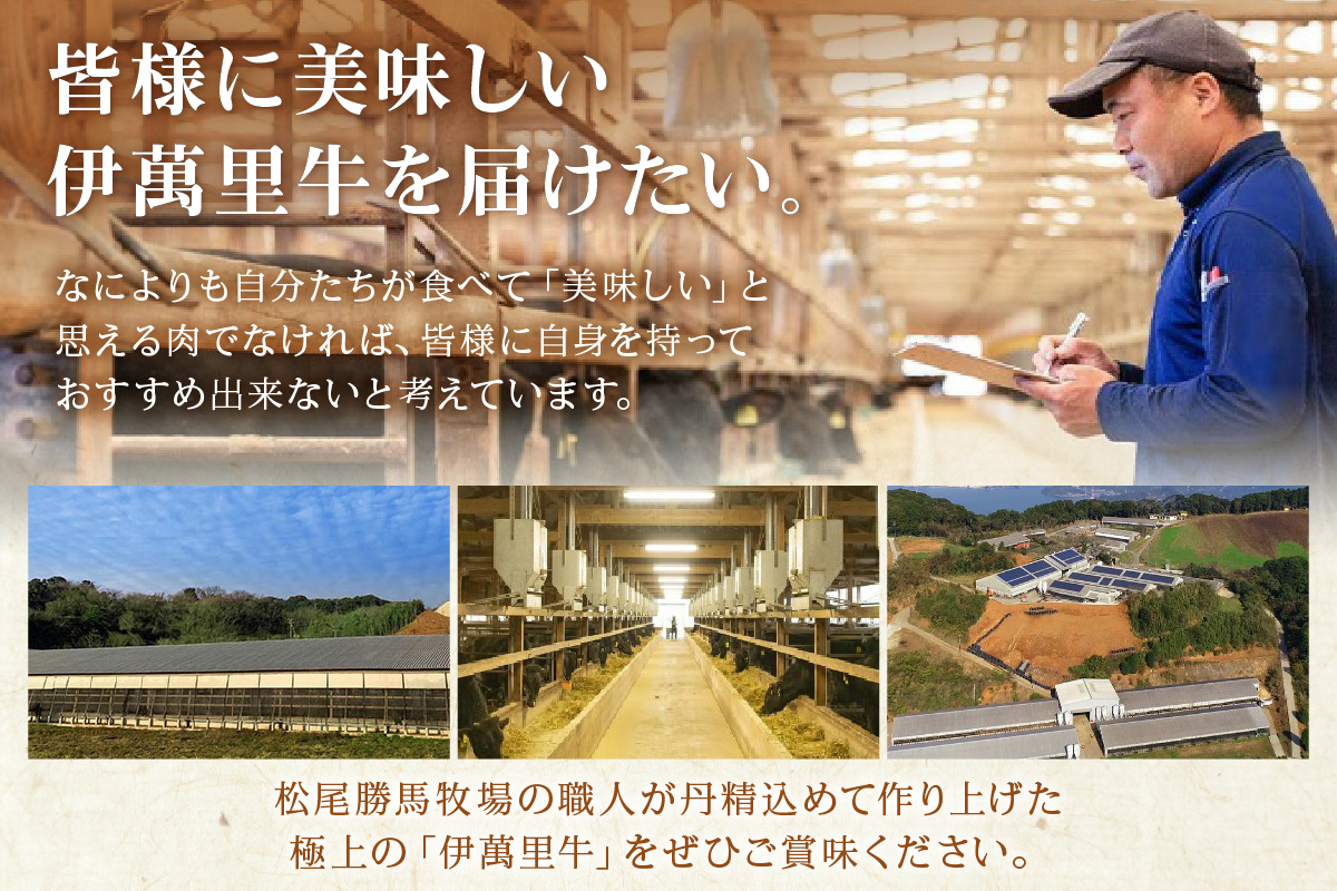 伊萬里牛100% 手作り 勝ハンバーグ 3個 007-J1831【伊万里牛 国産 黒毛和牛 牛肉100% 冷凍 個包装 ソース付き 焼くだけ】