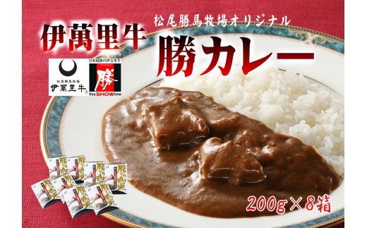 レストラン勝オリジナル伊萬里牛 カレー【中辛】8食分 J724