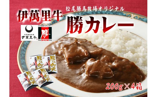 レストラン勝オリジナル伊萬里牛カレー【中辛】4食分 J723