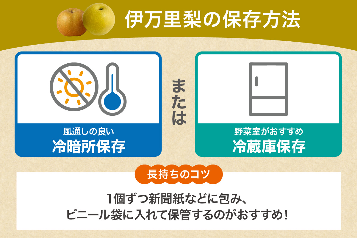 【2026年産先行予約】伊万里梨 「豊水」 約5kg ご自宅用におすすめ 178-B939