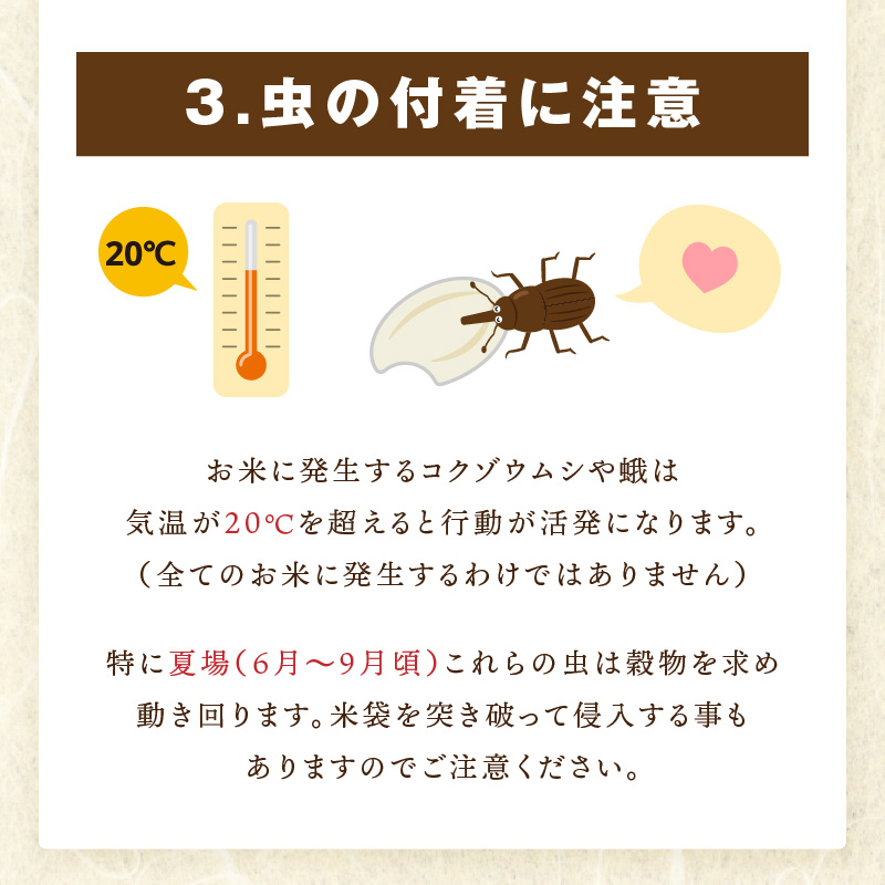 äŒäžéç£ ãã°ã米(ããŸã) ãã¬ã³ãç±³ ãç¡æŽç±³ã10kg(5kgÃ2è¢) ãç±³ãã€ã¹ã¿ãŒå³éž 086-B950