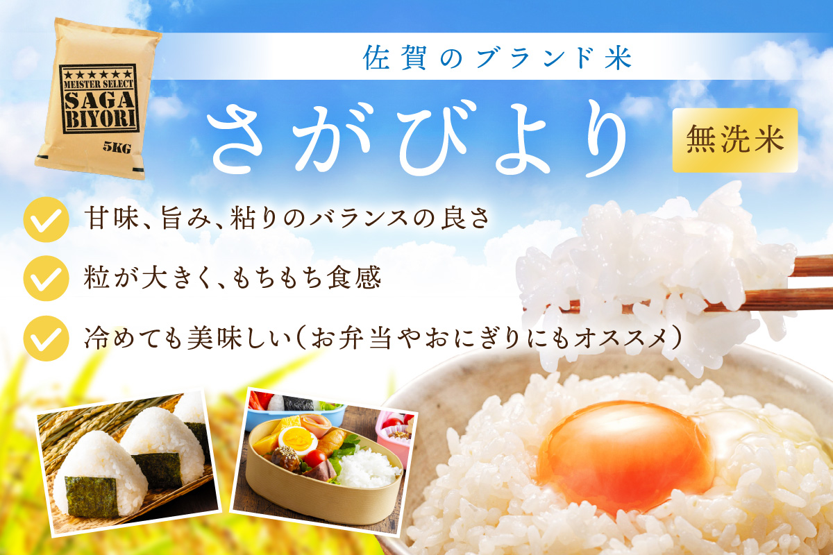 【11月から順次発送】 令和6年産 【定期便】 玄米 さがびより ５kg×６回 B706